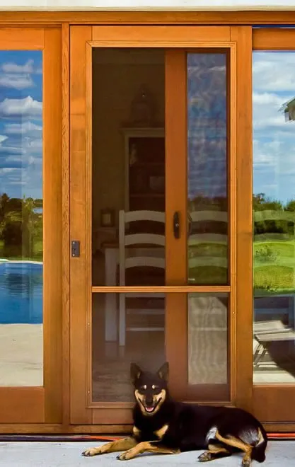 Wooden Framed Sliding Door