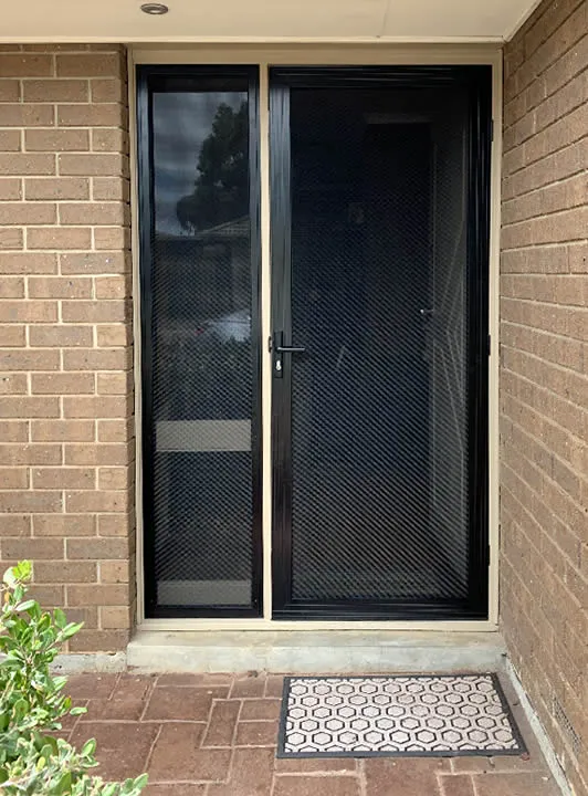 New security door example 1-new