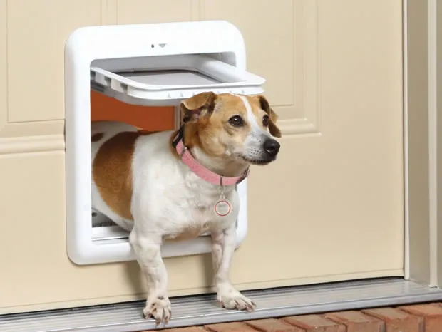 Pet door repairs and installation